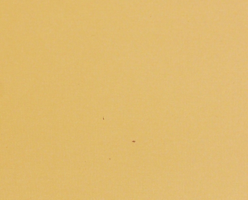 303